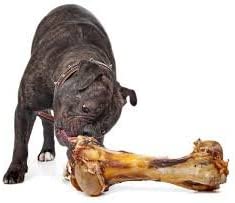 Giant Dog Bone - Grass-Fed Beef Femur Bone for Large Dogs