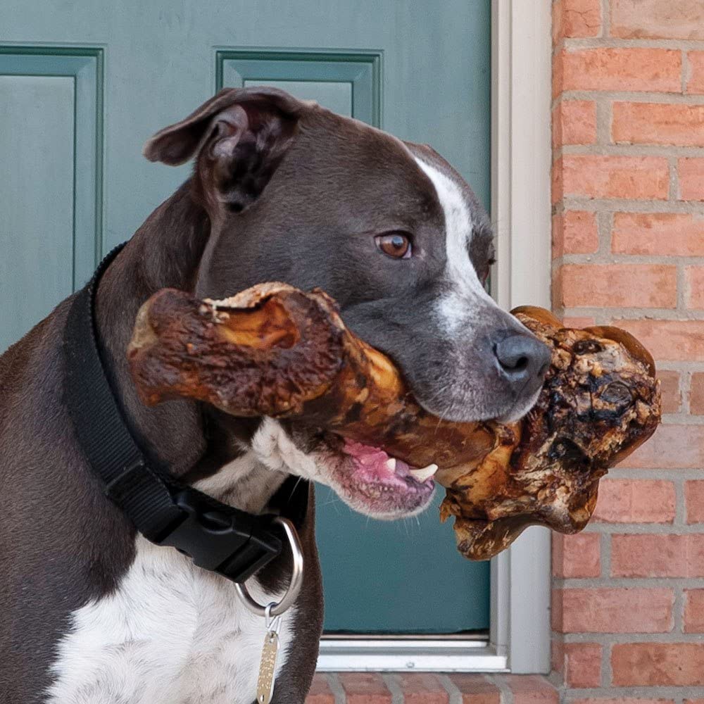 Giant Dog Bone - Grass-Fed Beef Femur Bone for Large Dogs