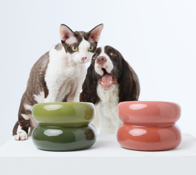 Soufflé Pet Bowl - Rose Pink