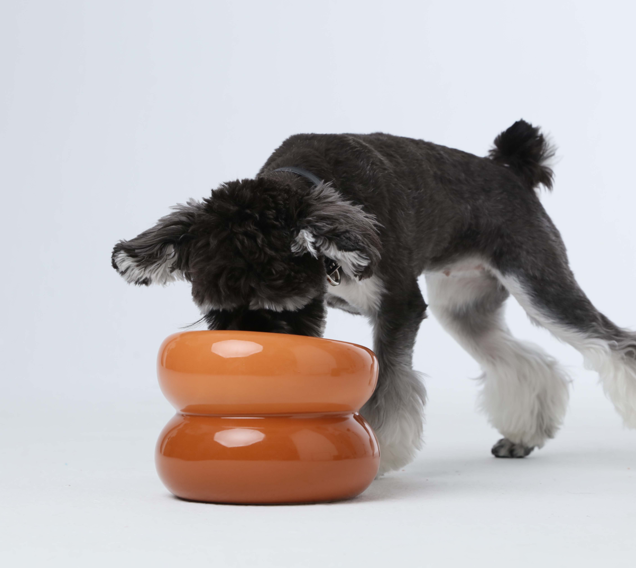 Soufflé Pet Bowl - Amber Orange