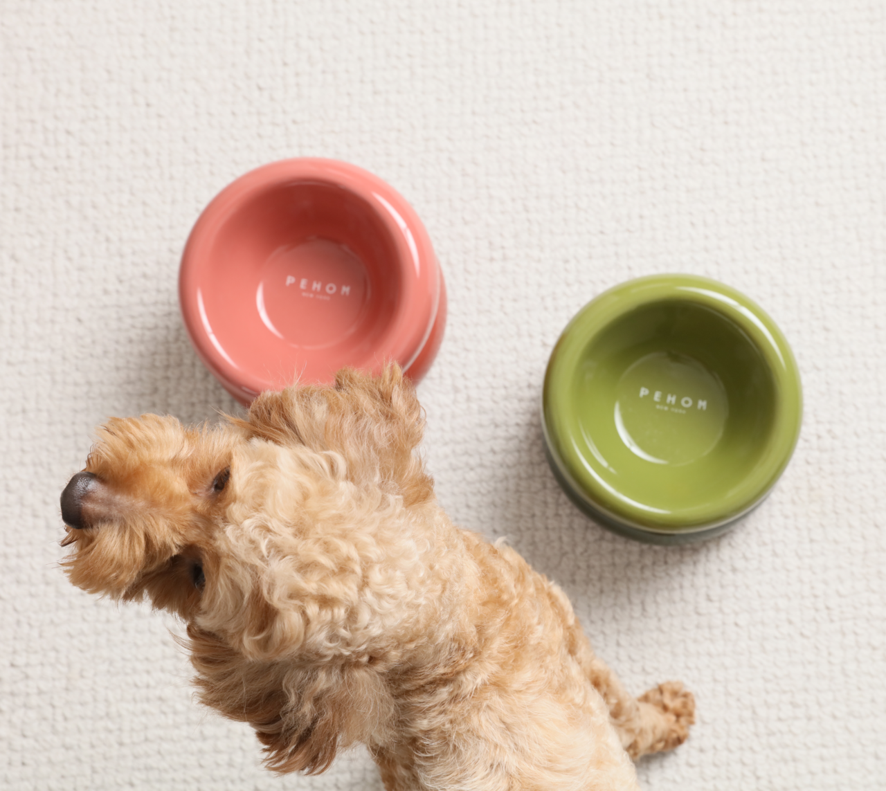 Soufflé Pet Bowl - Avocado Green