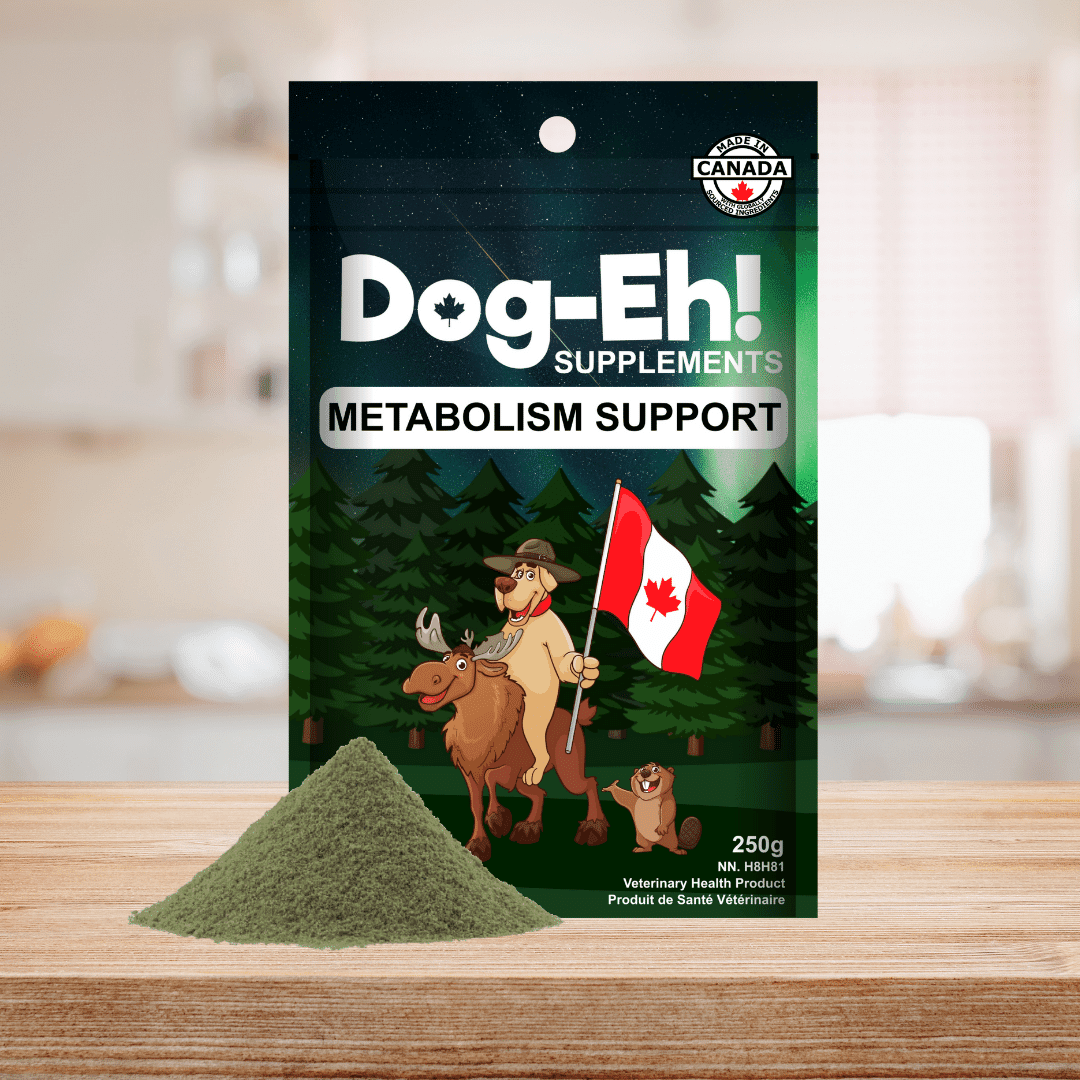 Dog-Eh! Metabolism Support Powder Supplement