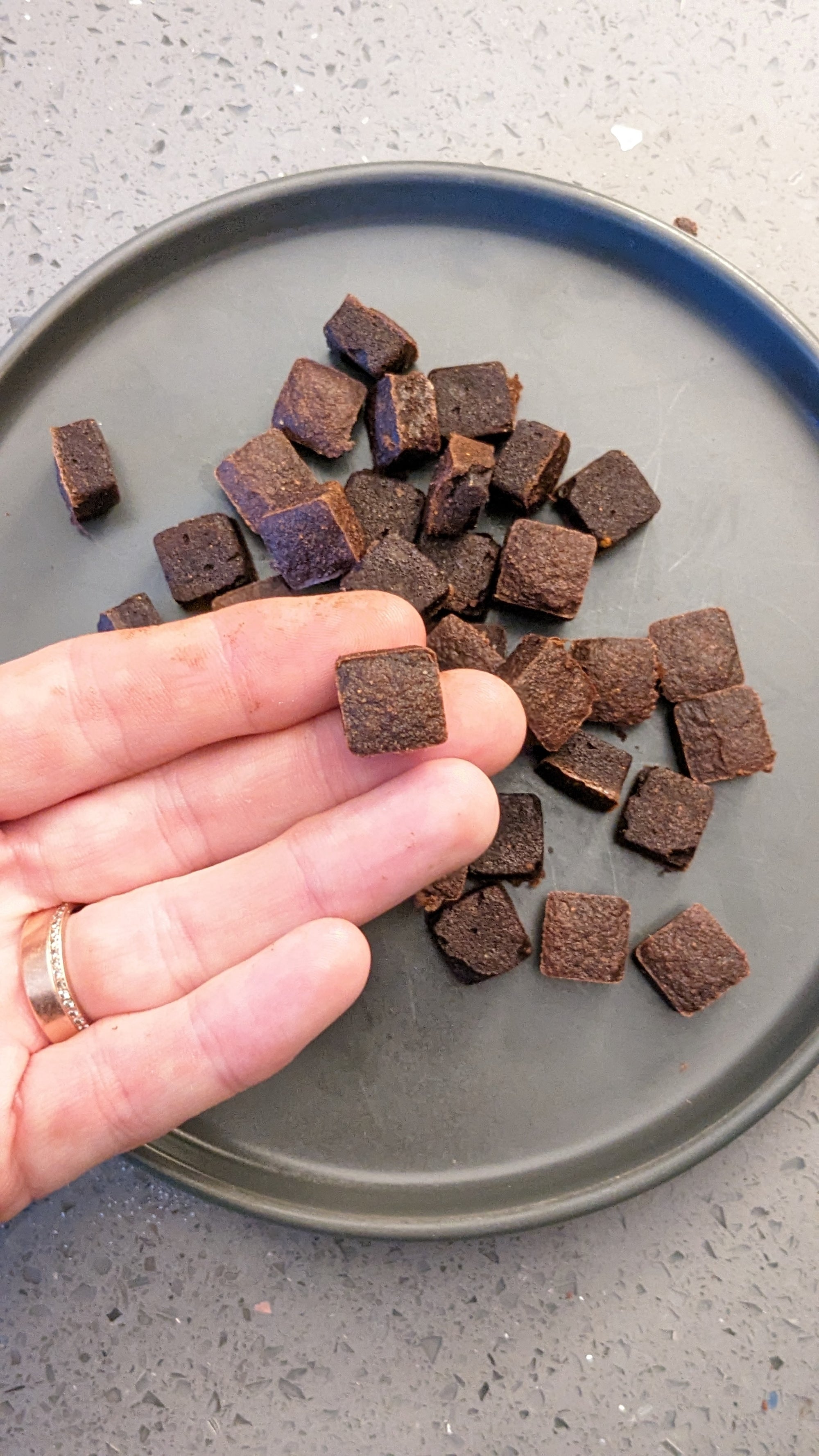 Chester's Brownie Bites Dog Treats for Cortisol Support